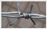 Barbed Wire